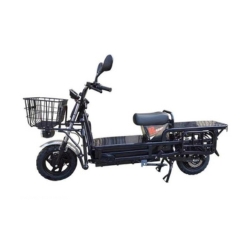Electric Tricycle VG-EB